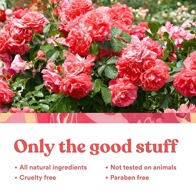 ASUTRA Restore Face Oil, 1 fl oz - Geranium & Rosehip Oil, Soften & Hydrate Dry Skin, Minimize Appearance of Fine Lines and Wrinkles