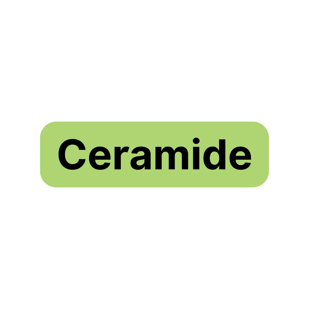 Ceramide