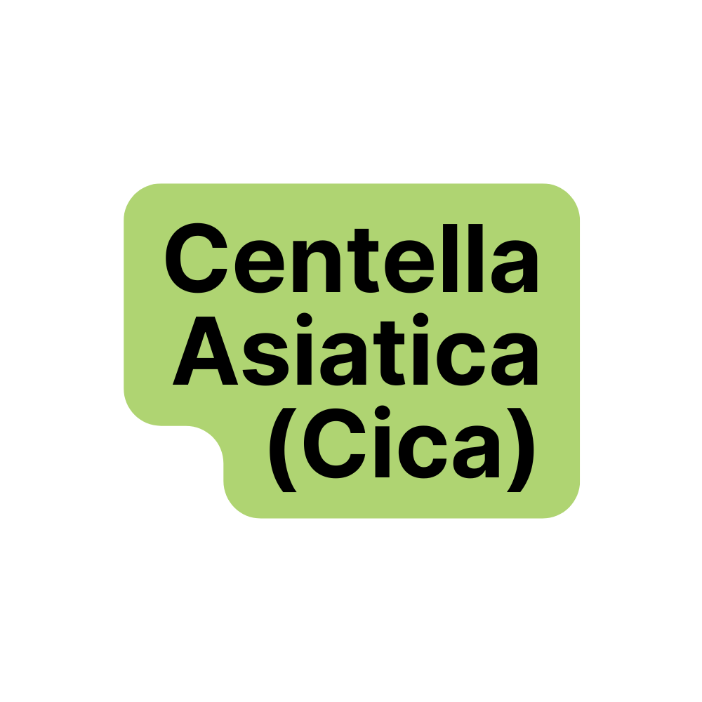 Centella Asiatica (Cica)