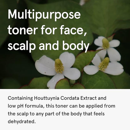 ONE THING Houttuynia Cordata Extract 10 fl oz | Vegan Soothing Calming Hydrating Facial Toner for Oily Acne Prone Skin | Korean Skin Care