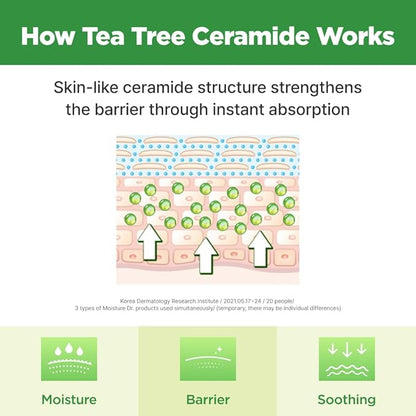 ISOI Moisture Dr. Mask Pack, Hydrating & Soothing Korean Sheet Mask for Face with Tea Tree, Ceramide & Hyaluronic Acid, Nourishing Skin Barrier Care, Korean Skin Care (10EA)