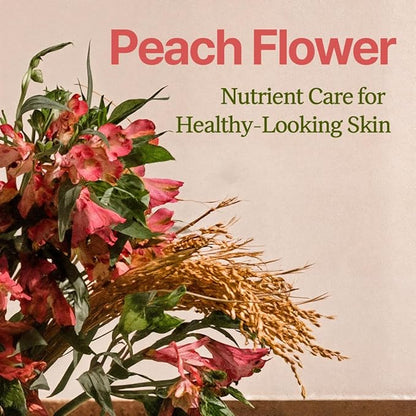 Gentle Peach Blossom Overnight Mask l Vitamin C, Rejuvenating, Hydrating l Product of Korea - 1.69 fl. Oz