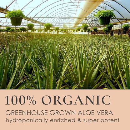 GUNILLA Glycolic Acid Night Cream - Refine, Resurface & Reduce Fine Lines, Wrinkles, Dark Spots, Congested Pores While Brightening Complexion. Gentle - Natural - Vegan (2 oz)