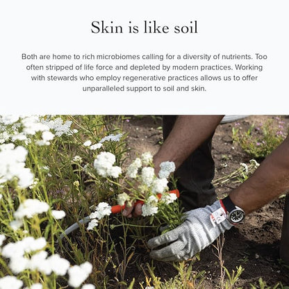 evanhealy Lavender HydroSoul | Copper Distilled Hydrosol | Calms Redness, Soothes Irritated Reactive Skin | Organic Lavender Facial Tonic | Calming Face Toner