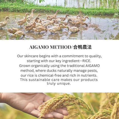 SWANESS Clear Oil, Japanese Premium Skincare Oil Cleanser – Anti-Aging Makeup Remover & Massage with Rice Power for Deep Pore Cleansing, Waterproof Mascara, Sunscreen & Radiant Skin