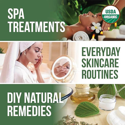 Organic Witch Hazel – 100% Pure Natural USP Astringent with 14% Alcohol | Hamamelis Virginiana Extract for Face, Skin, Hair & Wellness | Bulk & Gallon Options | 16 fl oz