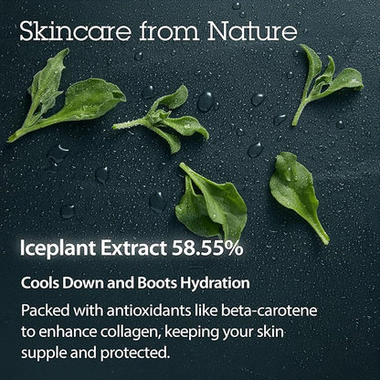 BLITHE Pressed Serum Crystal Iceplant Face Moisturizing Gel - Kbeauty Best Skin Cream for Dry Skin, Korean Serum for Combination Skin & Redness Relief, Face Moisturizer for Dry Skin Cream 1.68 Oz